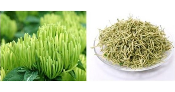 金（jīn）銀（yín）花烘幹工藝