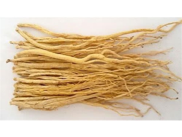 黨參烘幹機節能環保