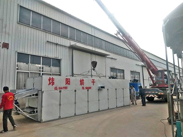 金絲皇菊網帶（dài）烘幹機（點擊進（jìn）入（rù））