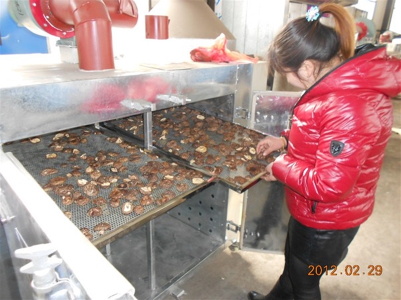 箱式蘑菇烘幹（gàn）設備(點擊進入）