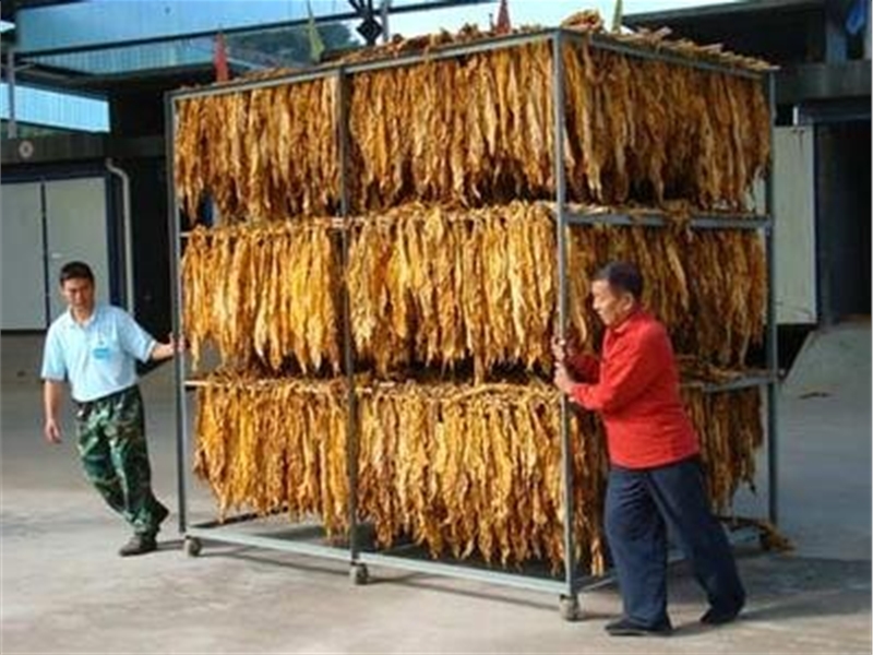 WYH series tobacco drying oven (click to enter)